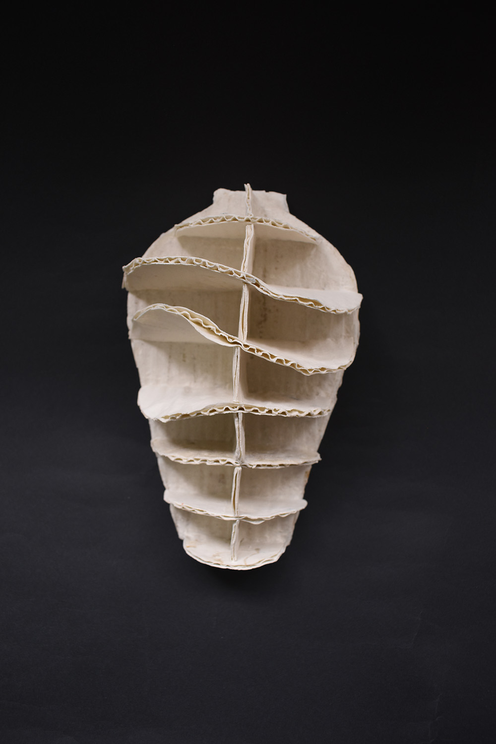 Pasta de porcelana cartón